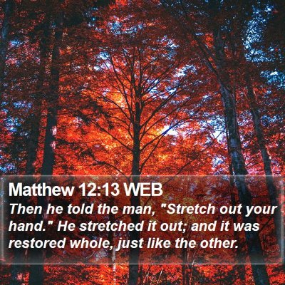 Matthew 12:13 WEB Bible Verse Image