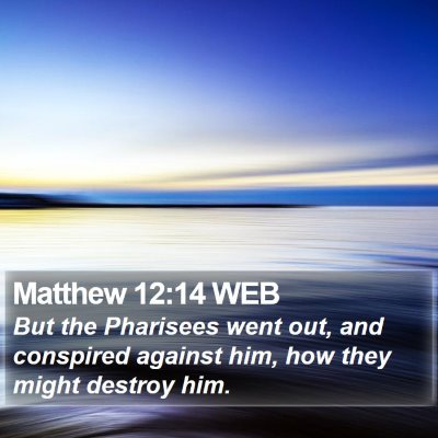 Matthew 12:14 WEB Bible Verse Image