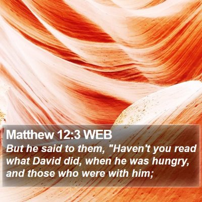 Matthew 12:3 WEB Bible Verse Image