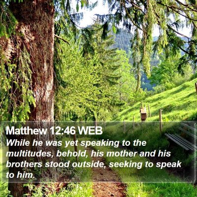 Matthew 12:46 WEB Bible Verse Image