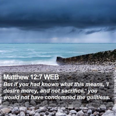 Matthew 12:7 WEB Bible Verse Image