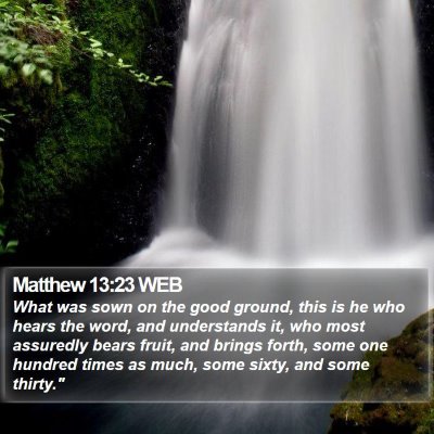 Matthew 13:23 WEB Bible Verse Image