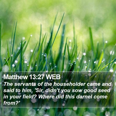 Matthew 13:27 WEB Bible Verse Image