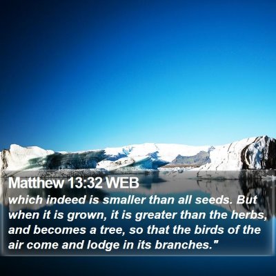 Matthew 13:32 WEB Bible Verse Image