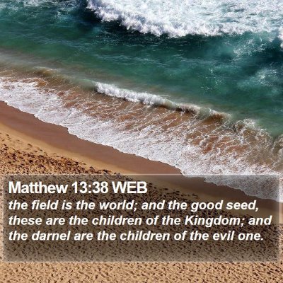 Matthew 13:38 WEB Bible Verse Image