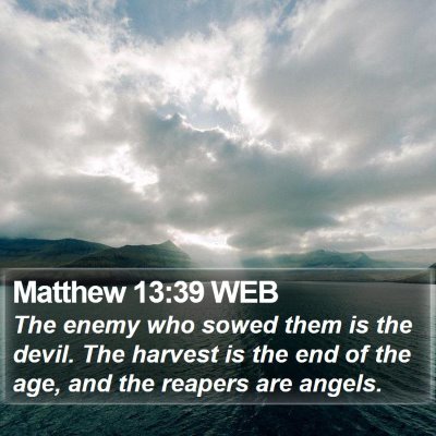 Matthew 13:39 WEB Bible Verse Image