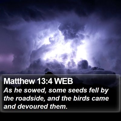 Matthew 13:4 WEB Bible Verse Image