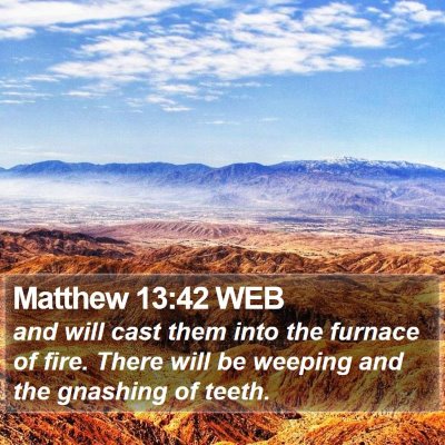 Matthew 13:42 WEB Bible Verse Image