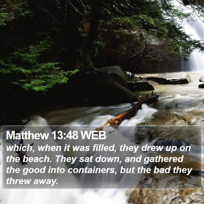 Matthew 13:48 WEB Bible Verse Image