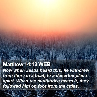 Matthew 14:13 WEB Bible Verse Image