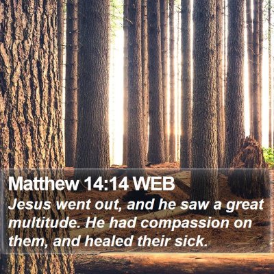 Matthew 14:14 WEB Bible Verse Image