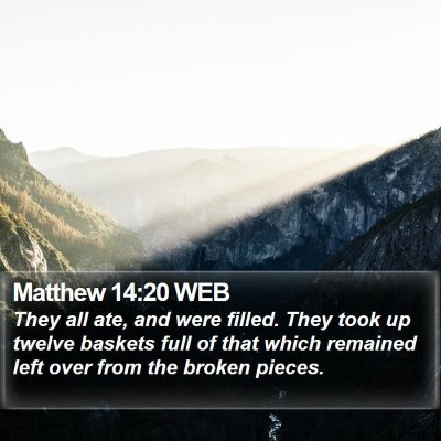 Matthew 14:20 WEB Bible Verse Image