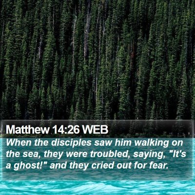 Matthew 14:26 WEB Bible Verse Image