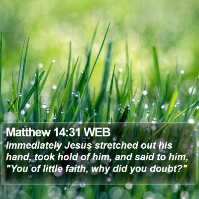 Matthew 14:31 WEB Bible Verse Image