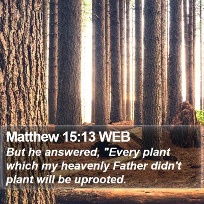 Matthew 15:13 WEB Bible Verse Image