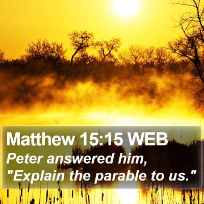 Matthew 15:15 WEB Bible Verse Image