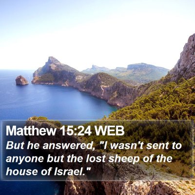 Matthew 15:24 WEB Bible Verse Image