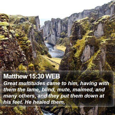 Matthew 15:30 WEB Bible Verse Image