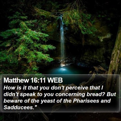 Matthew 16:11 WEB Bible Verse Image