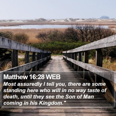 Matthew 16:28 WEB Bible Verse Image