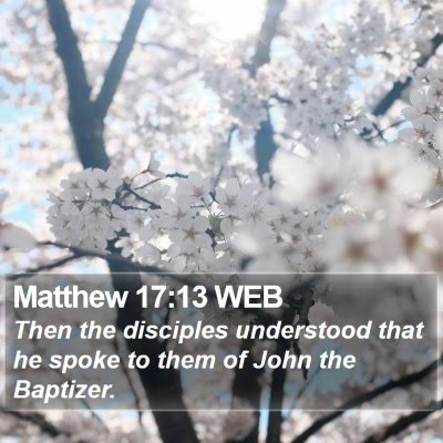Matthew 17:13 WEB Bible Verse Image