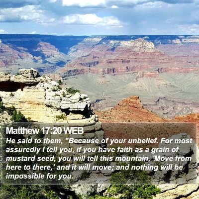 Matthew 17:20 WEB Bible Verse Image