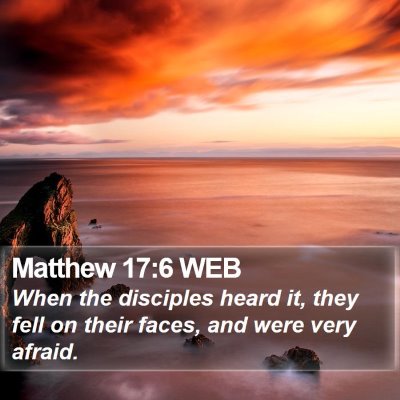Matthew 17:6 WEB Bible Verse Image