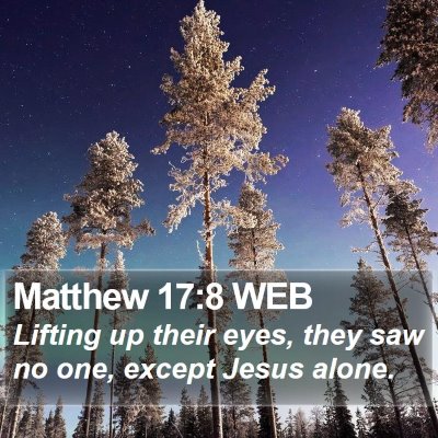 Matthew 17:8 WEB Bible Verse Image