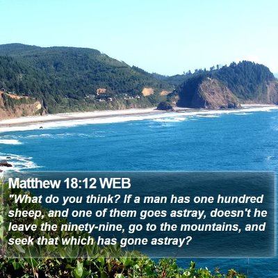 Matthew 18:12 WEB Bible Verse Image