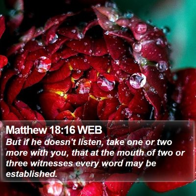 Matthew 18:16 WEB Bible Verse Image