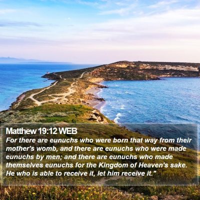 Matthew 19:12 WEB Bible Verse Image