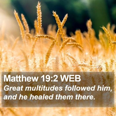 Matthew 19:2 WEB Bible Verse Image