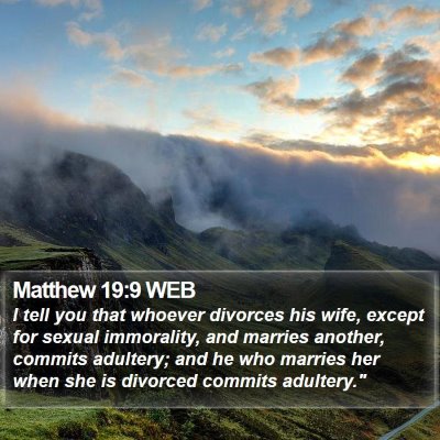Matthew 19:9 WEB Bible Verse Image