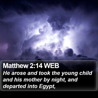 Matthew 2:14 WEB Bible Verse Image