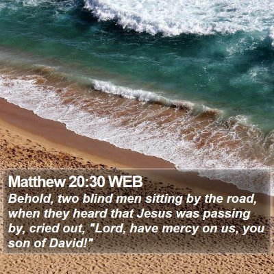 Matthew 20:30 WEB Bible Verse Image
