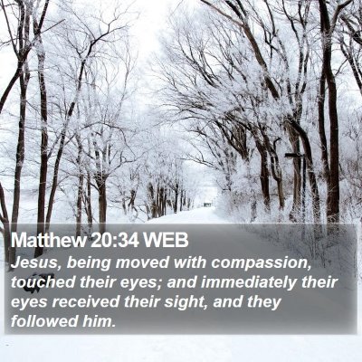 Matthew 20:34 WEB Bible Verse Image