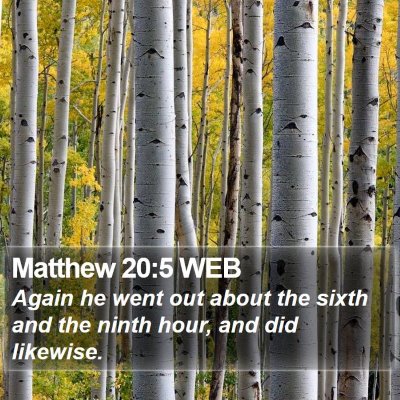 Matthew 20:5 WEB Bible Verse Image