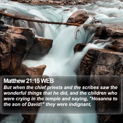 Matthew 21:15 WEB Bible Verse Image