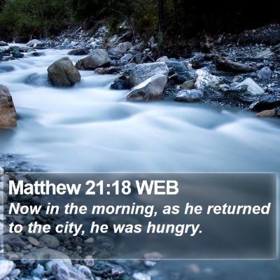 Matthew 21:18 WEB Bible Verse Image