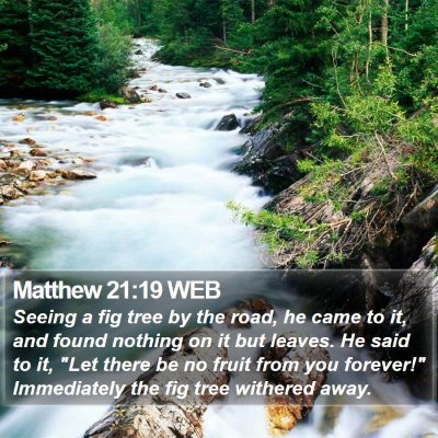 Matthew 21:19 WEB Bible Verse Image