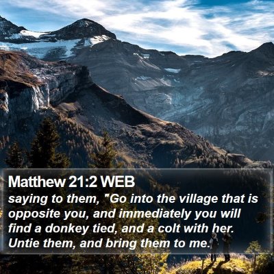 Matthew 21:2 WEB Bible Verse Image