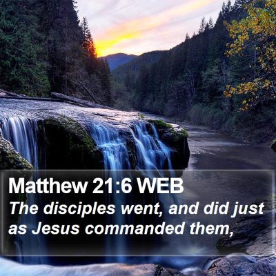 Matthew 21:6 WEB Bible Verse Image