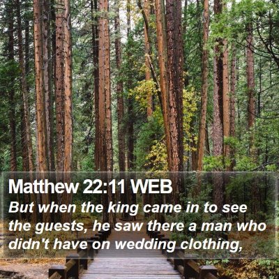 Matthew 22:11 WEB Bible Verse Image
