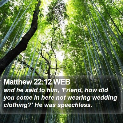 Matthew 22:12 WEB Bible Verse Image