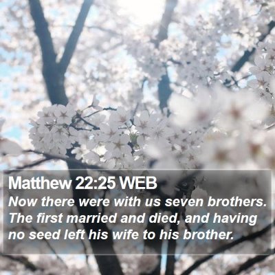 Matthew 22:25 WEB Bible Verse Image