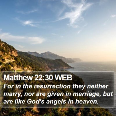 Matthew 22:30 WEB Bible Verse Image