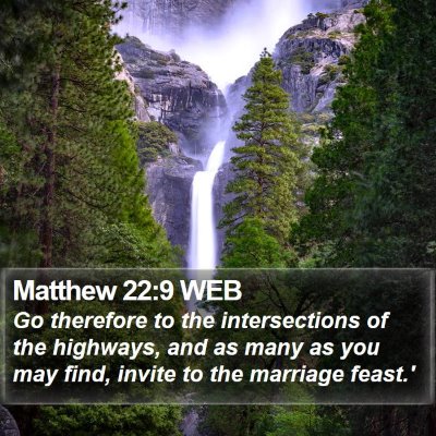 Matthew 22:9 WEB Bible Verse Image
