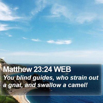 Matthew 23:24 WEB Bible Verse Image