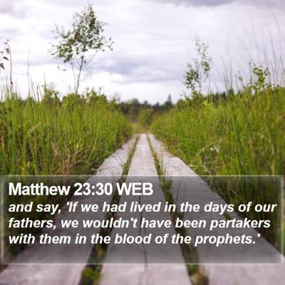 Matthew 23:30 WEB Bible Verse Image