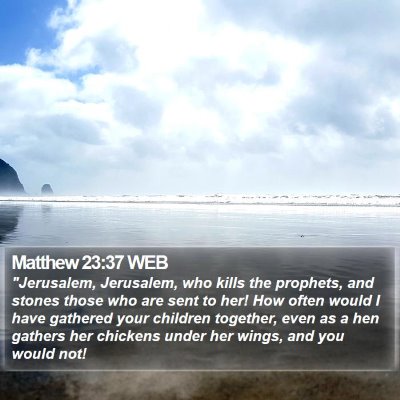 Matthew 23:37 WEB Bible Verse Image